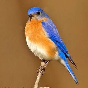 Meet your Posher, Lynda